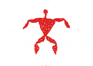 Official HLA Watches